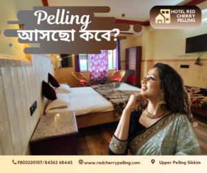 Hotels Near Pelling Helipad